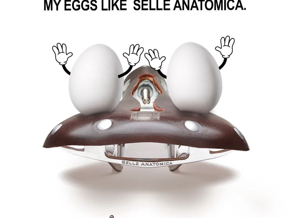 Selle Anatomica